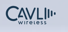 Cavli Wireless